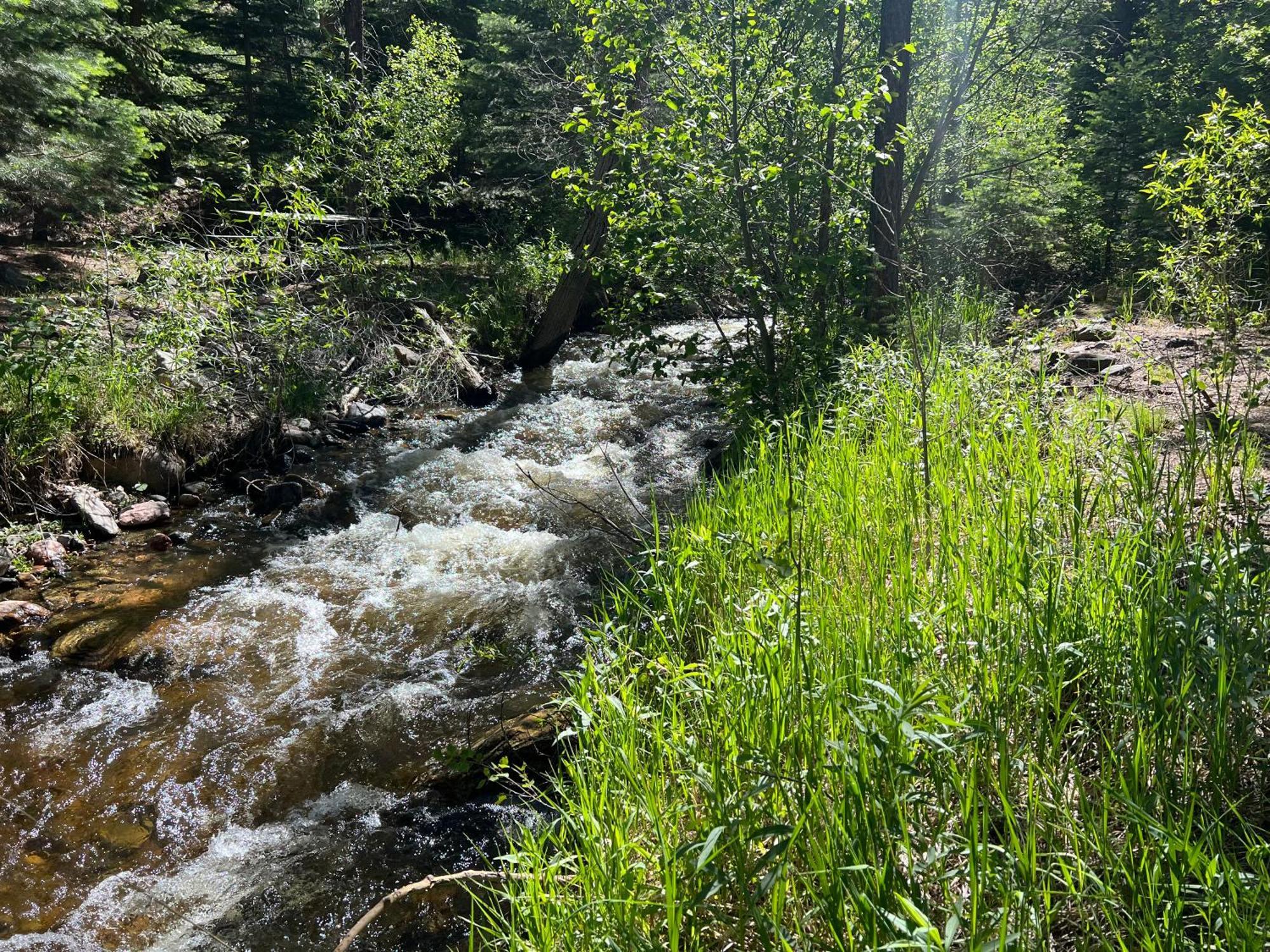 Cozy Cabin On The Creek Colorado City Eksteriør billede