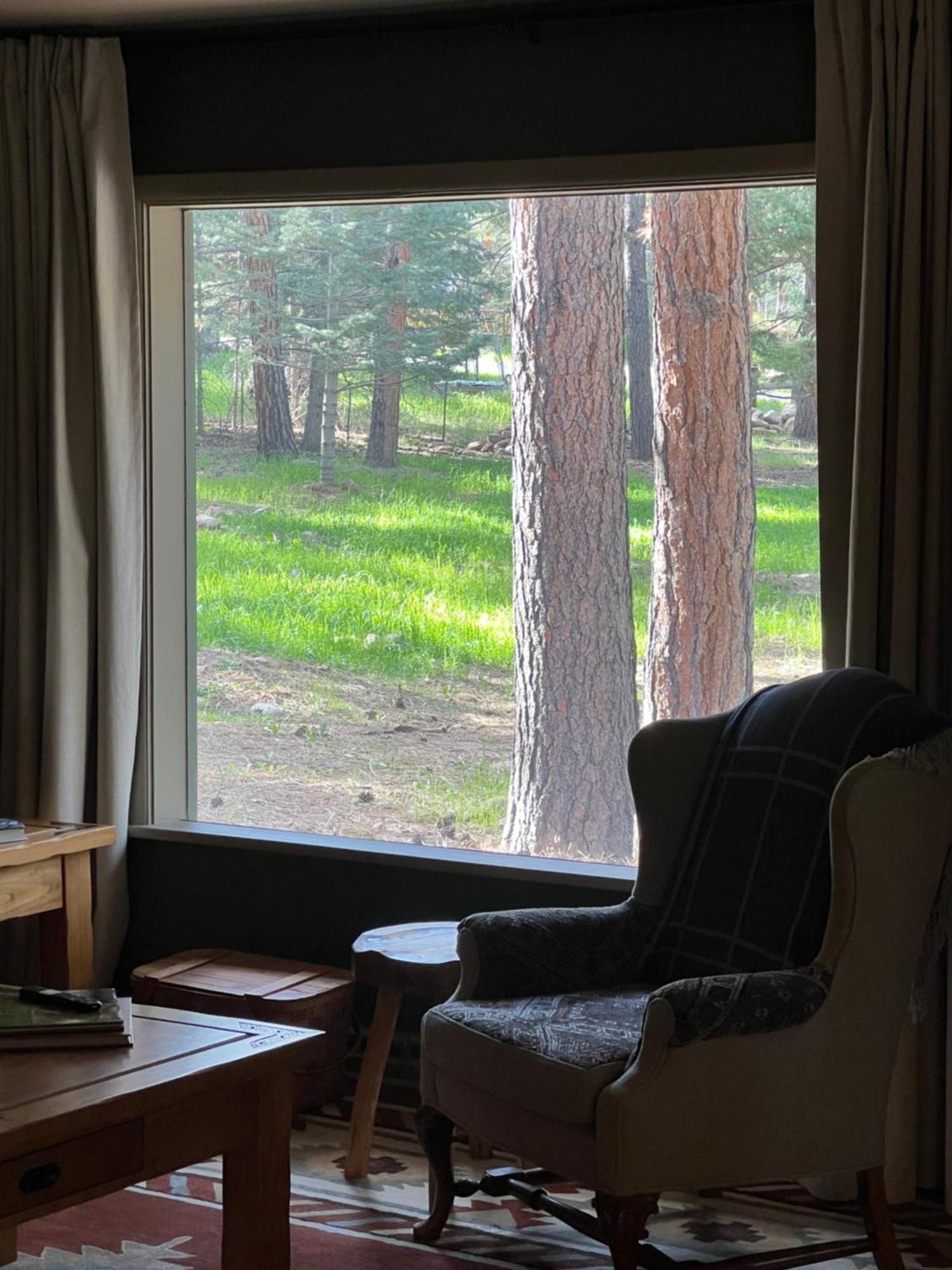 Cozy Cabin On The Creek Colorado City Eksteriør billede